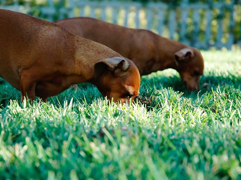 sudoku daily challenge screenshot 3